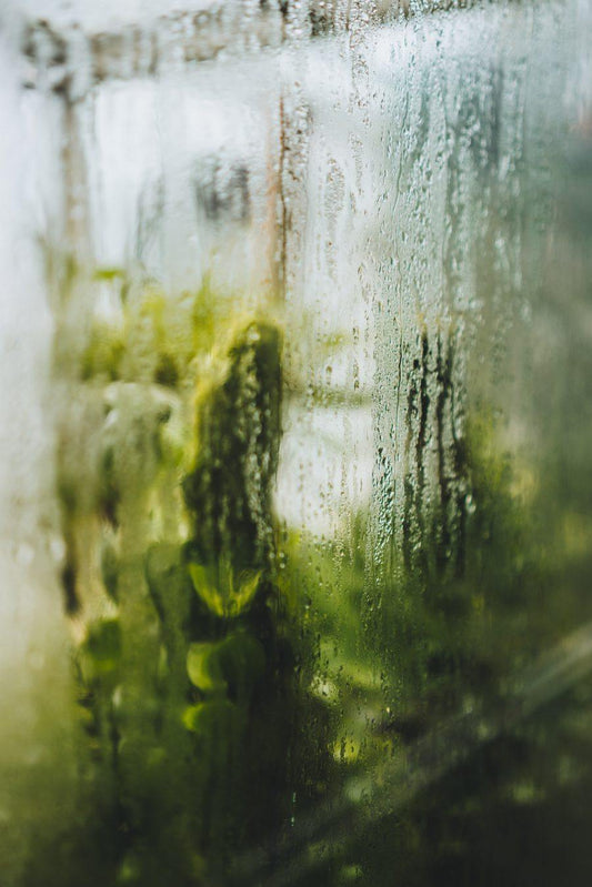 “Greening Out” – What’s happening when a trip goes wrong?