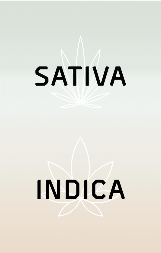Indica and Sativa: What’s the Difference?